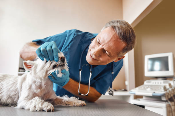 Best After-Hours Emergency Dentist in Byron Center, MI